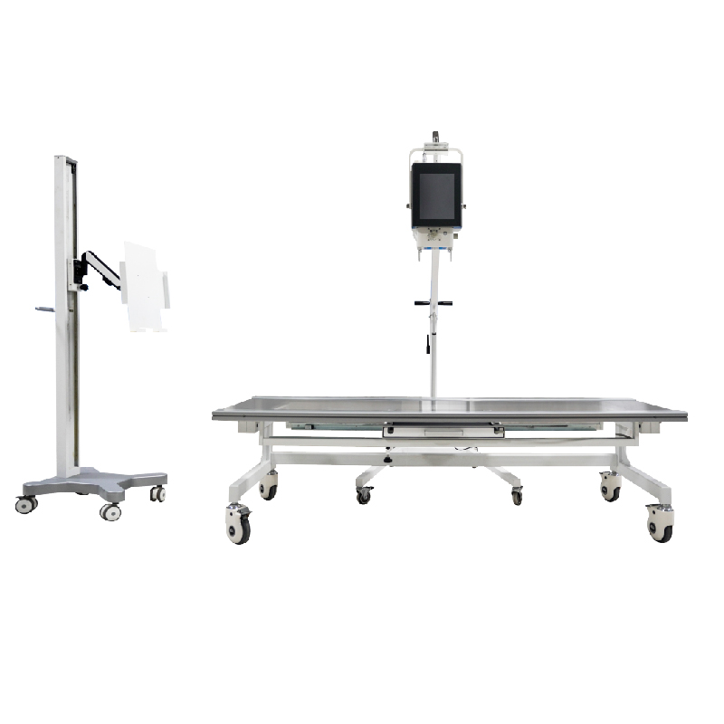 Sistema de radiografía digital portátil