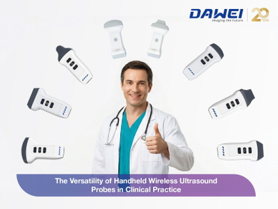 The Versatility of Handheld Wireless Ultrasound Probes in Clinical Practice800 600_画板 1.jpg