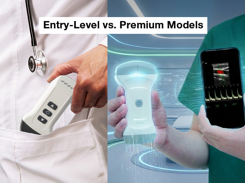 &iquest;C&oacute;mo se clasifican los modelos b&aacute;sicos y premium?